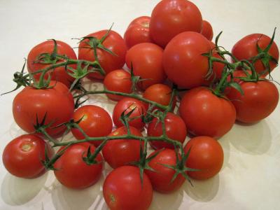 Photo : Tomates en grappe