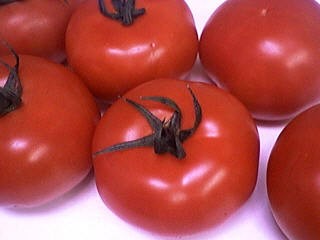 Tomates