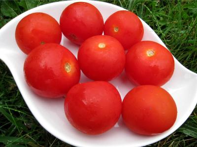 tomate