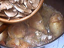Poulet au vin rouge - 8.2