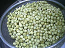 Petits pois en jardinière - 9.1