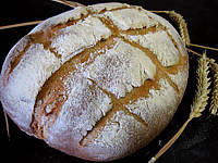 Recette Pain de campagne à pâte fermentée