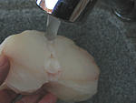 Lotte en friture - 2.1