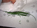 Vinaigrette au Banyuls - 3.3