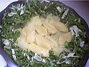 Salade batavia - 10.1
