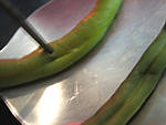Navets et haricots verts au wok - 5.1