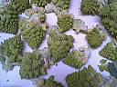 Tarte au chou romanesco - 1.2