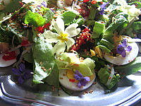 Recette Violettes et primevères en salade