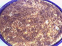 Quiche au surimi - 6.2