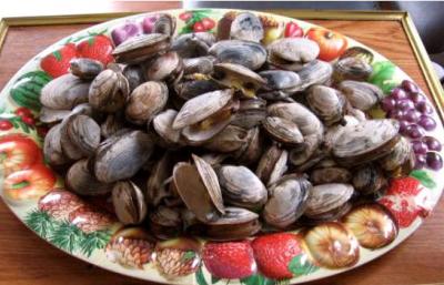 Image : Coquillages - Assiette de coquillages clams