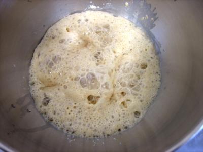 Image : Poolish - poolish