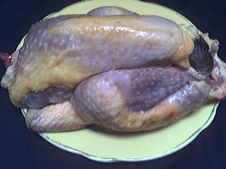 Pintade