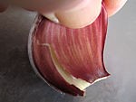 Topinambours et coquillettes - 3.1