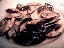 Recette Moules à la crème