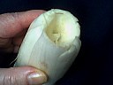 Restes de langue en salade - 1.2