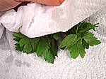 Restes de saucisses et de cervelas en salade - 9.2