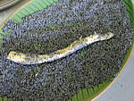 Soupe de lentilles aux crozets - 20.1