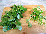 Sauce verte pour poisson - 1.4