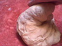 Pain viennois - 6.1