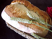 farine type 65 : Pain de campagne au poolish