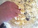Pizza lotte et fromages - 2.2