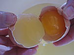Oeufs cocotte au Saint-Agur - 7.2