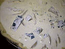 Tarte au roquefort et poires - 6.1