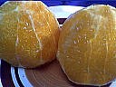 Gratin aux oranges - 1.2