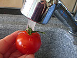 Chutney aux poivrons - 12.1