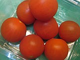 Tomates cerise
