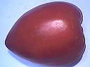 Tomate coeur de boeuf