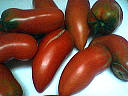 Tomates Andes de type tomate-piment