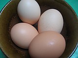 Oeufs