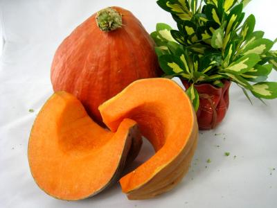 Photo : Potimarron