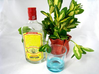 Image : Distillation - bouteille de gin