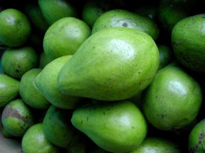 Image : Avocat - Etalage d'avocats