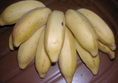 figue banane