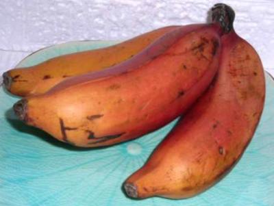 banane rose