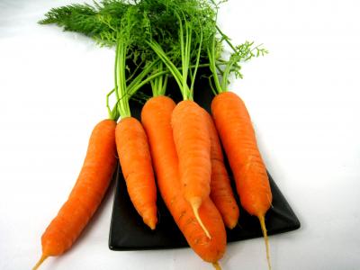 Photo : Des carottes
