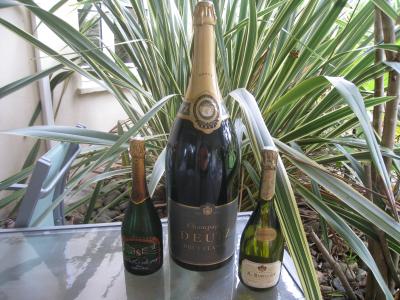 Photo : Bouteille de champagne mahulasem