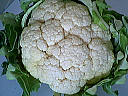 chou-fleur