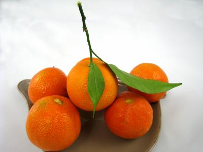 clémentines