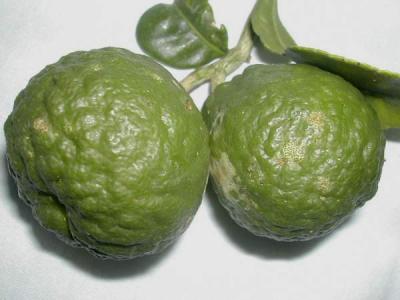 agrume combava