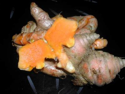 Curcuma