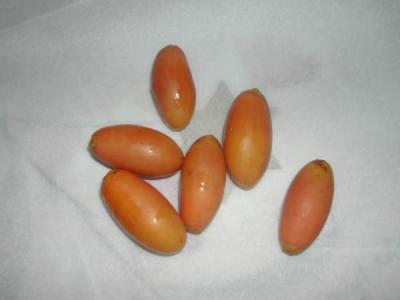 dattes fraîches