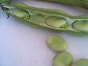 Gourganes