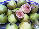 figues