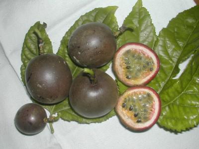 fruits de la passion