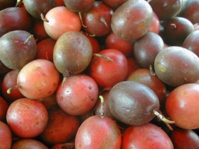 Image : Fruit de la passion ou Grenadille - Fruits de la passion