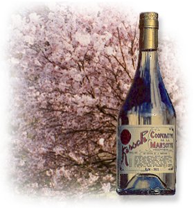 Photo : Bouteille de kirsch